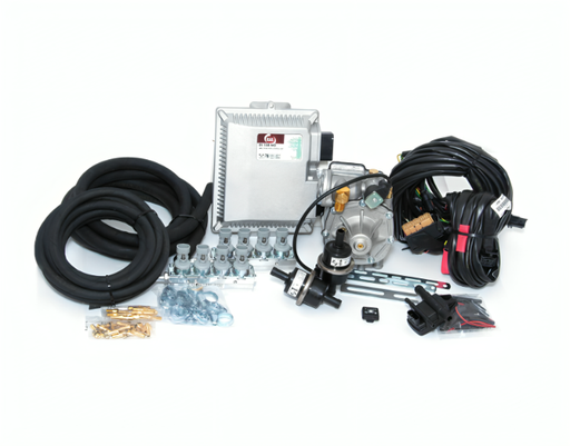 [RAIL-8CIL.ID.002] KIT EQUIPO GAS LP 8/C/DING